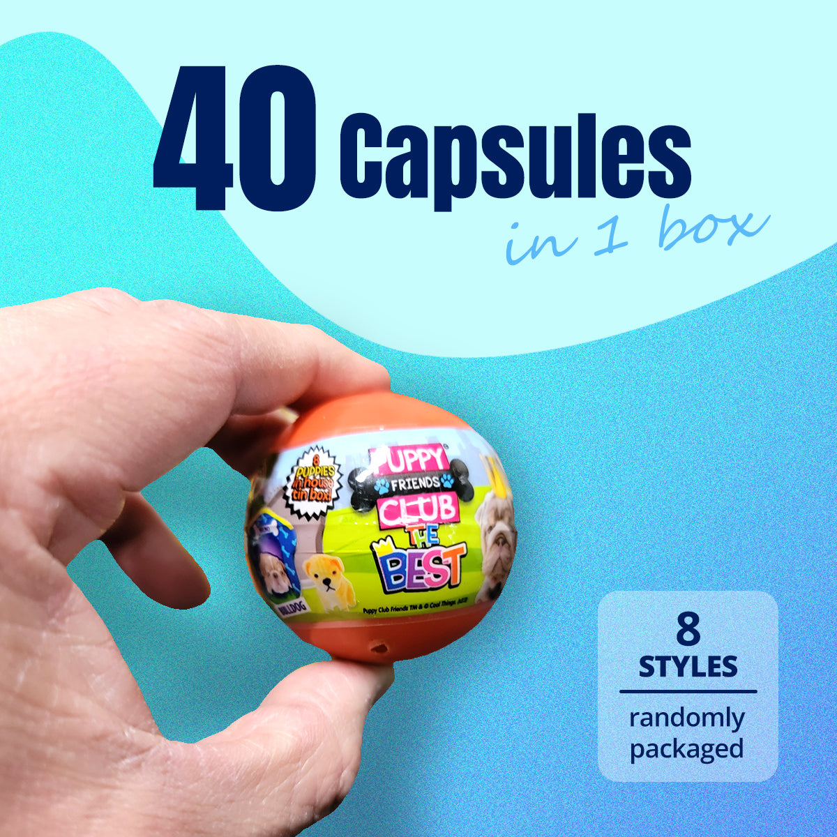 40X Puppy Club The Best Home Toy Capsules 50mm Collectible Gacha in Display Box 5
