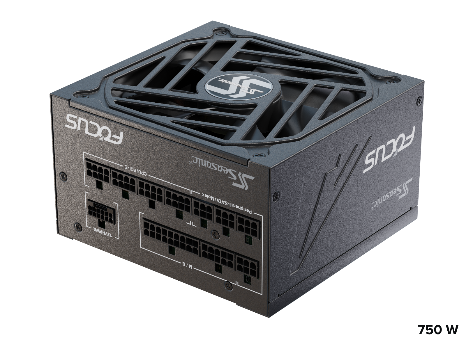 Seasonic FOCUS GX-750 ATX 3.0 750W Gold PSU (SSR-750FX3) 4