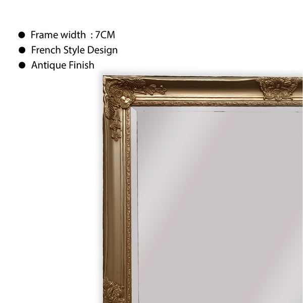 French Provincial Ornate Mirror - ANTIQUE CHAMPAGNE - X Large 100cm x 190cm 5