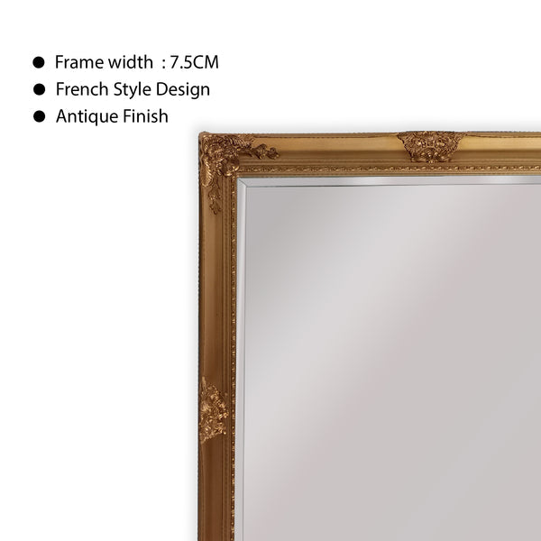 French Provincial Ornate Mirror - COUNTRY GOLD - X Large 100cm x 190cm 5