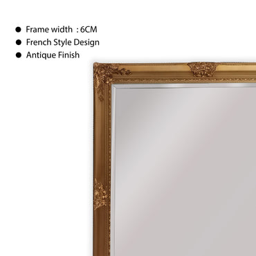 French Provincial Ornate Mirror - Gold - Free Standing 50cm x 170cm 3