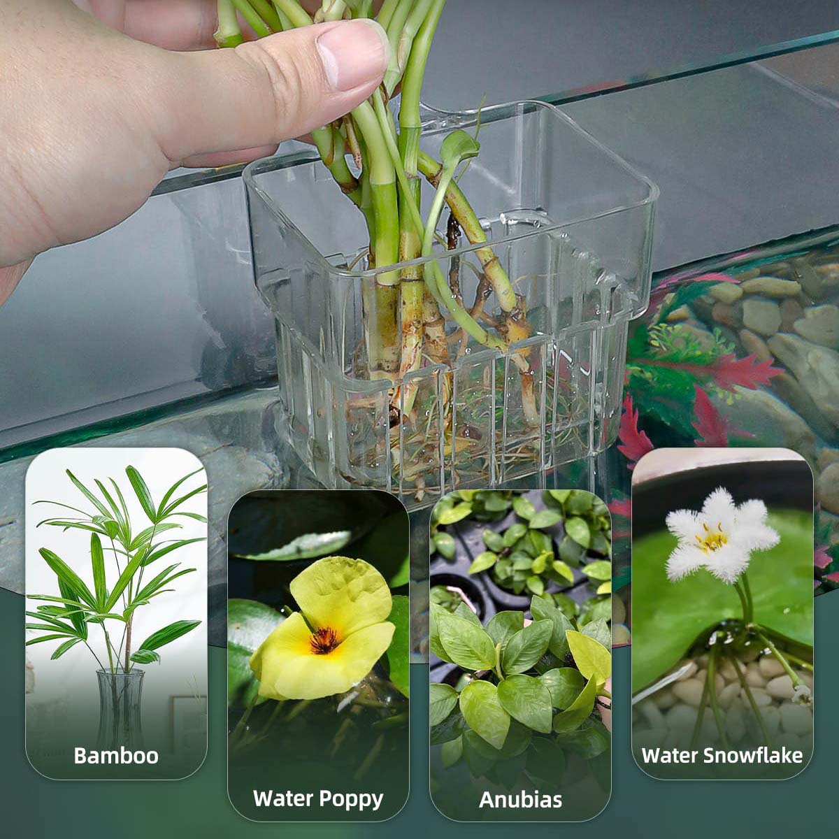 2pc Aquarium Plant Holder Clear Hanging Aquatic Planters with Hooks for Fish Tank Decor 6