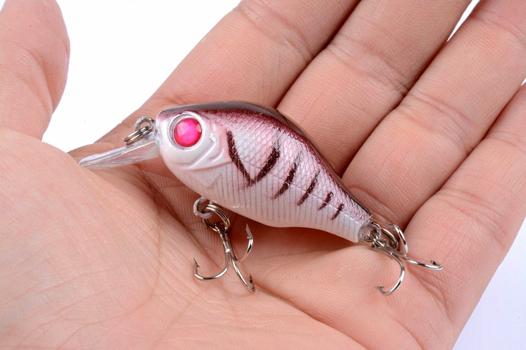 5x 5.5cm Popper Crank Bait Fishing Lure Lures Surface Tackle Saltwater 3