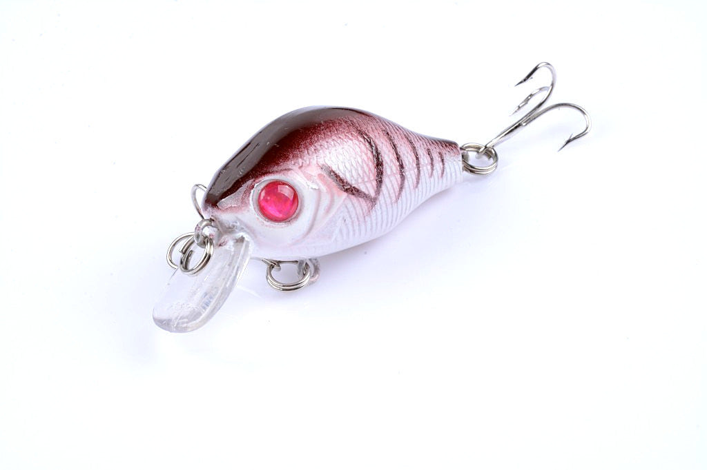 5x 5.5cm Popper Crank Bait Fishing Lure Lures Surface Tackle Saltwater 9