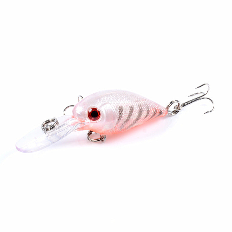 9x Popper Crank 5.7cm Fishing Lure Lures Surface Tackle Fresh Saltwater 12