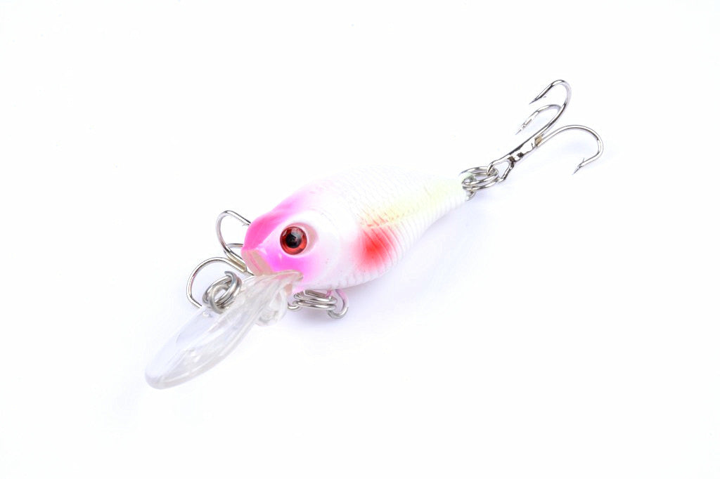 6x 6cm Popper Crank Bait Fishing Lure Lures Surface Tackle Saltwater 5