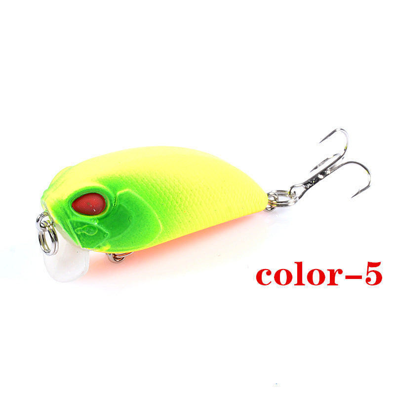 6x Popper Crank 5.1cm Fishing Lure Lures Surface Tackle Fresh Saltwater 6