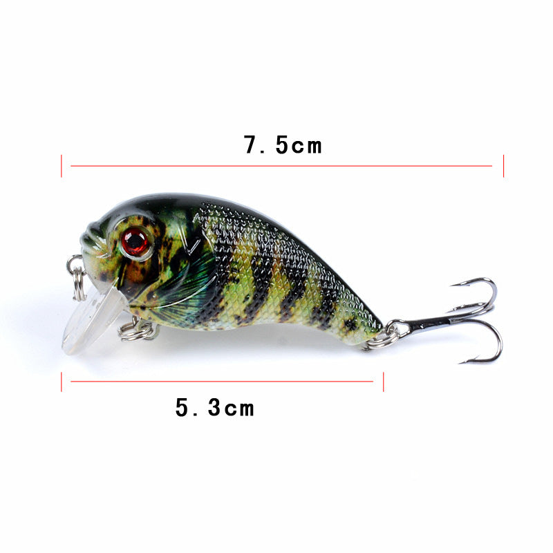 6x Popper Poppers 5cm Fishing Lure Lures Surface Tackle Fresh Saltwater 3