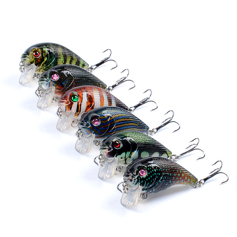 6x Popper Poppers 5cm Fishing Lure Lures Surface Tackle Fresh Saltwater 5
