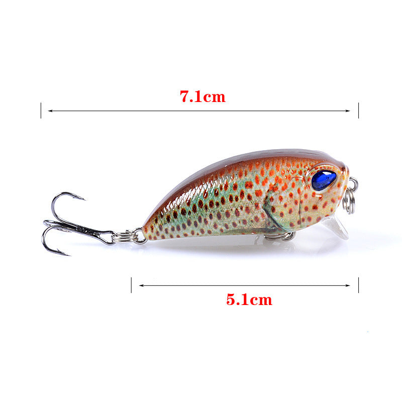 6x Popper Poppers 5.1cm Fishing Lure Lures Surface Tackle Fresh Saltwater 5
