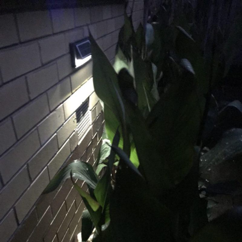 Solar Step Lights 6