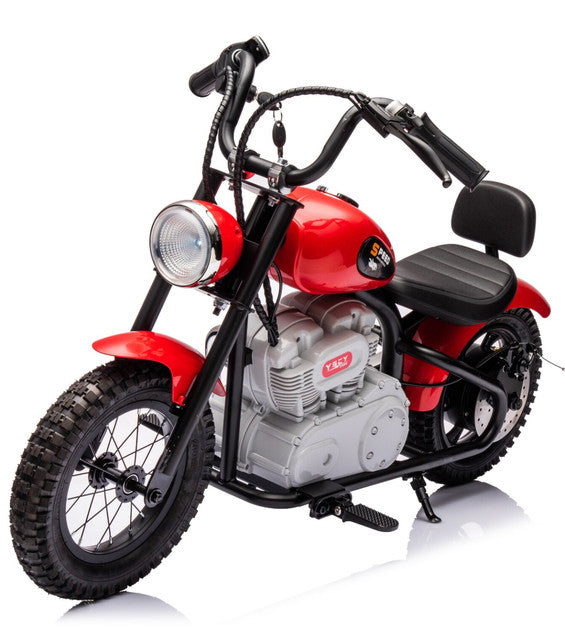 Single Rider Cruiser Bike 36V 3