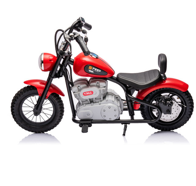 Single Rider Cruiser Bike 36V 4