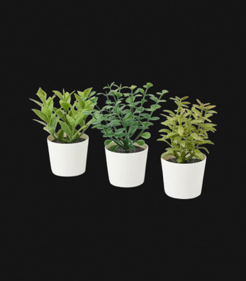 3 Pack of Artificial Herb Potted Plants in White Plastic 5cm Pot Interior Decoration 5