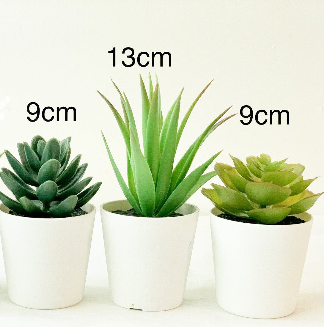 3 Pack of Artificial Succulent Potted Plants in White Plastic 6cm Pot Interior Decoration 3