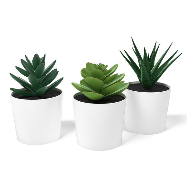3 Pack of Artificial Succulent Potted Plants in White Plastic 6cm Pot Interior Decoration 5