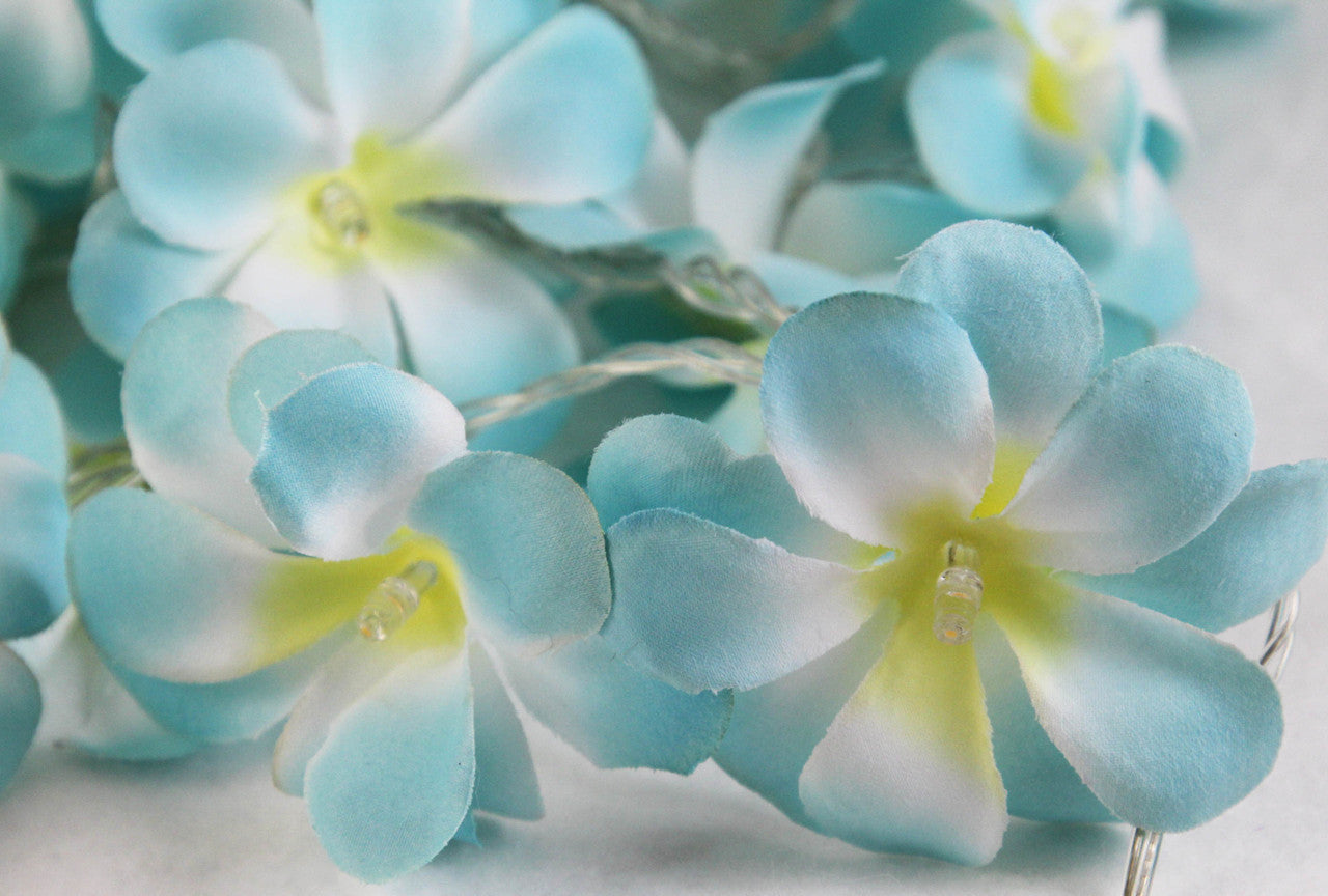 1 Set of 20 LED Tropical Blue Frangipani Flower Battery 3m String Lights Christmas Gift Home Wedding Beach Party Decoration Outdoor Table Centrepiece 3