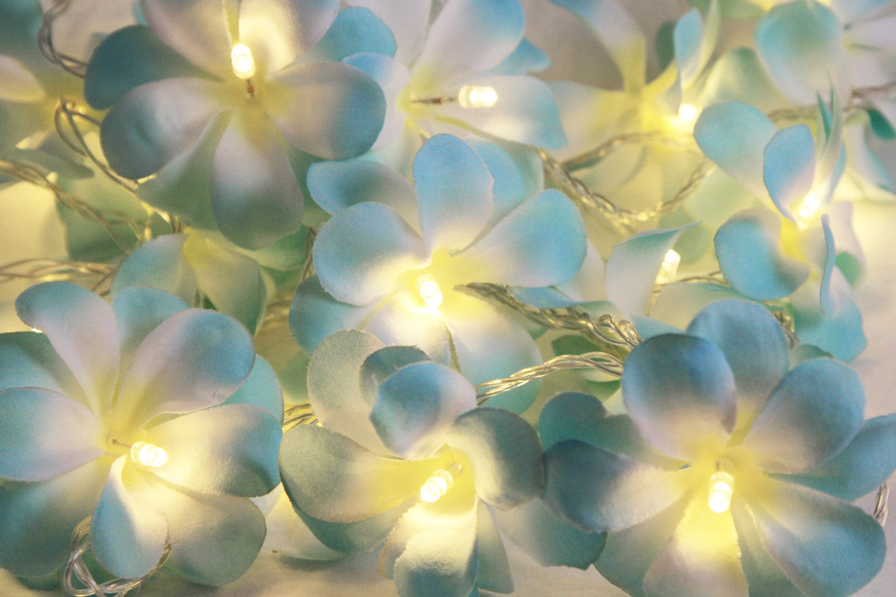 1 Set of 50 LED Tropical Blue Frangipani Flower Battery 5m LONG String Lights Christmas Gift Home Wedding Beach Party Decoration Outdoor Table Centrepiece 4