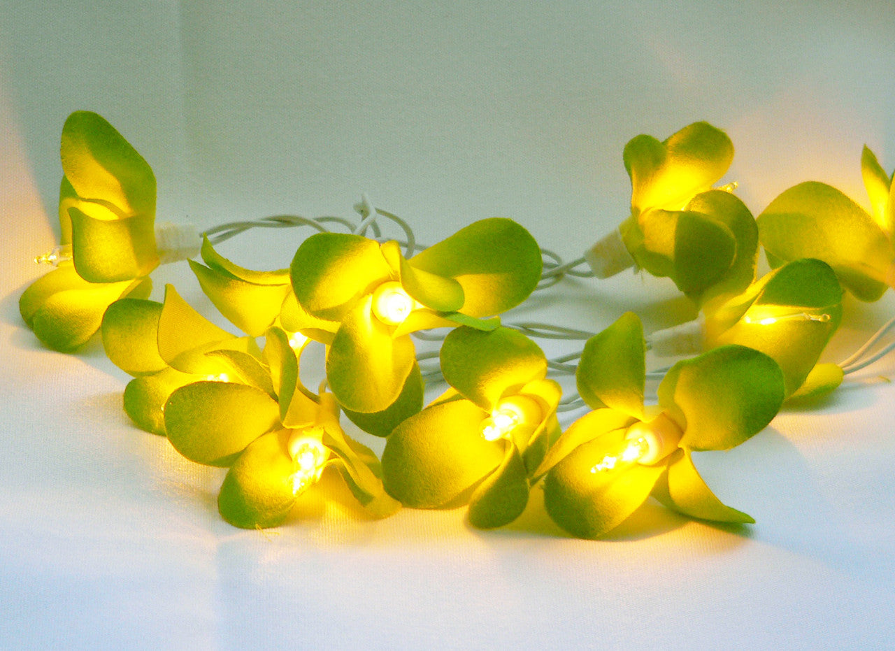 1 Set of 20 LED Green Frangipani Flower Battery String Lights Christmas Gift Home Wedding Party Decoration Outdoor Table Garland Wreath 5