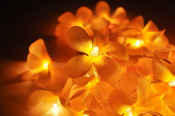 1 Set of 20 LED Orange Frangipani Flower Battery String Lights Christmas Gift Home Wedding Party Decoration Outdoor Table Garland Wreath 5