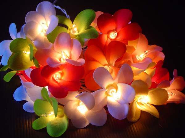 1 Set of 20 LED Tropical Bright Colous Frangipani Flower Battery String Lights Christmas Gift Home Wedding Party Decoration Outdoor Table Centrepiece 3