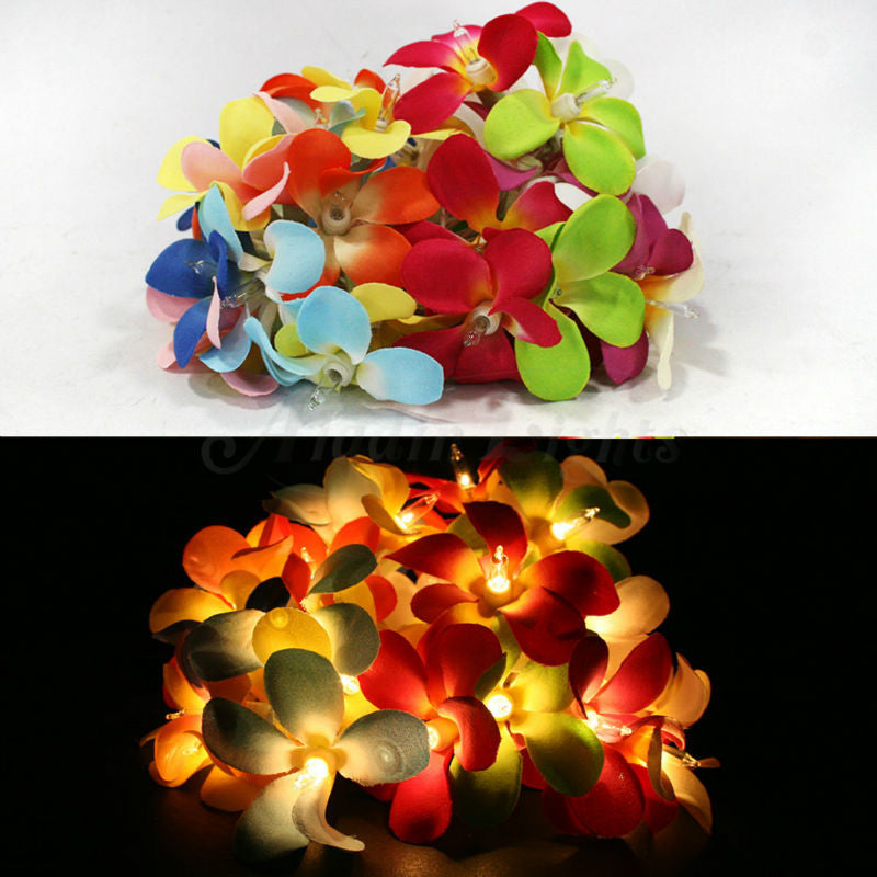 1 Set of 20 LED Tropical Bright Colous Frangipani Flower Battery String Lights Christmas Gift Home Wedding Party Decoration Outdoor Table Centrepiece 4