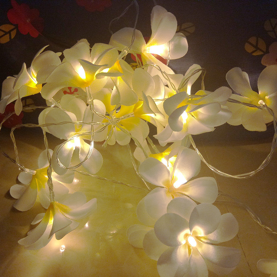 1 Set of 20 LED White Frangipani Flower Battery String Lights Christmas Gift Home Wedding Beach Party Decoration Outdoor Table Centrepiece 3