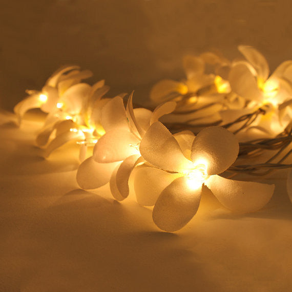 1 Set of 20 LED White Frangipani Flower Battery String Lights Christmas Gift Home Wedding Beach Party Decoration Outdoor Table Centrepiece 4