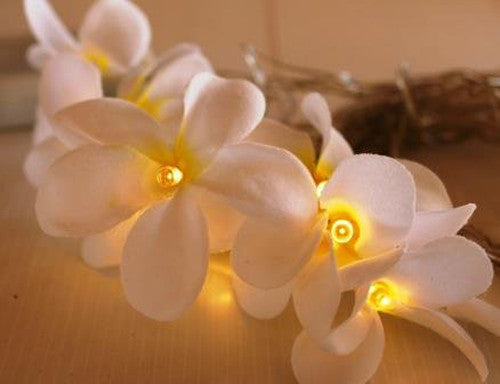 1 Set of 20 LED White Frangipani Flower Battery String Lights Christmas Gift Home Wedding Beach Party Decoration Outdoor Table Centrepiece 5