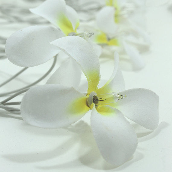 1 Set of 20 LED White Frangipani Flower Battery String Lights Christmas Gift Home Wedding Beach Party Decoration Outdoor Table Centrepiece 7