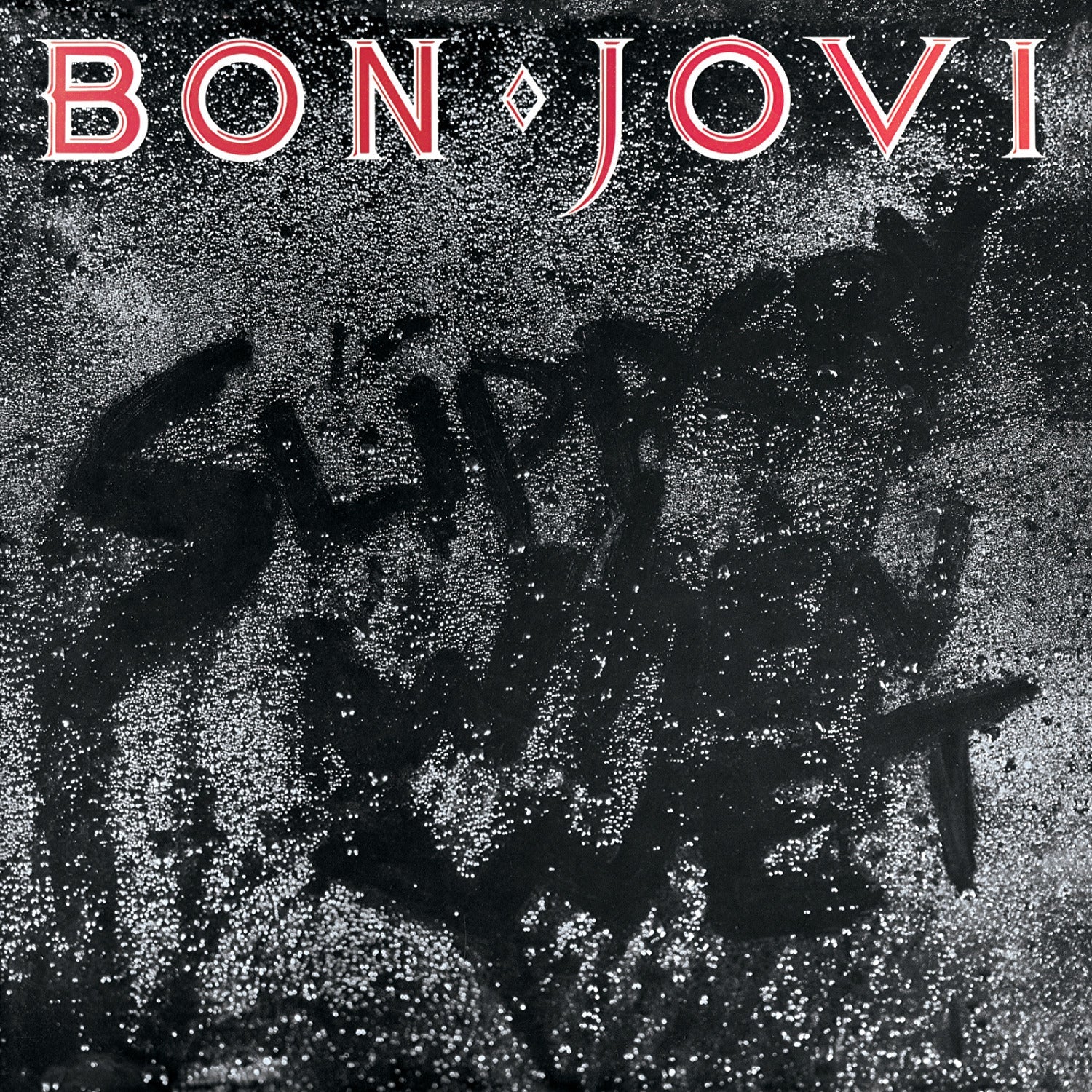 Bon Jovi Slippery When Wet - Vinyl Album & Crosley Record Storage Display Stand 4