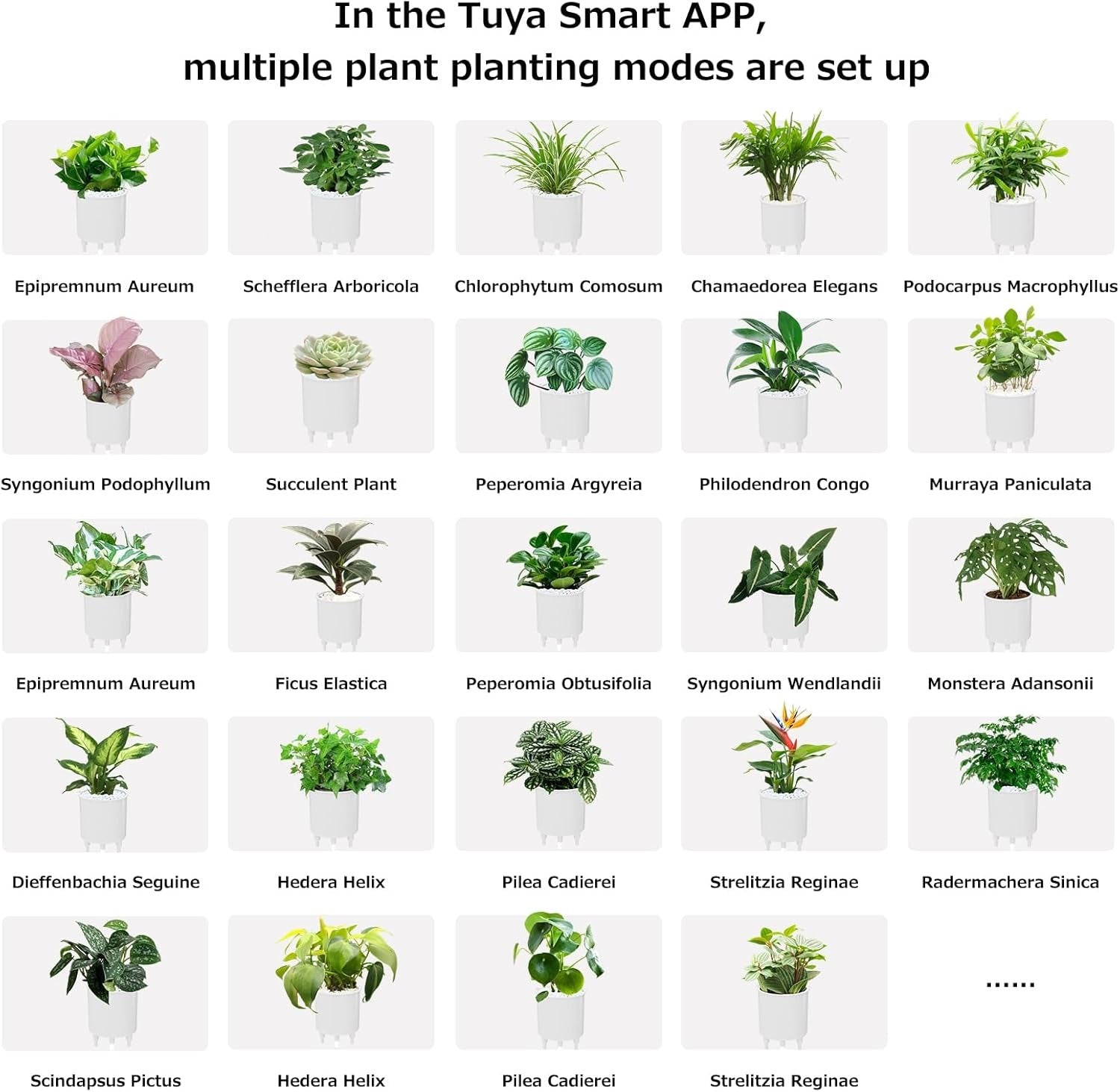 Intelligent Flower Pot, Electronic Bud, Maintenance Plant Assistant, Fun Interactive Flower Pot, Indoor Green Planting Monitoring, LCD Screen Display, Cell Phone APP Connection (Pink) 9