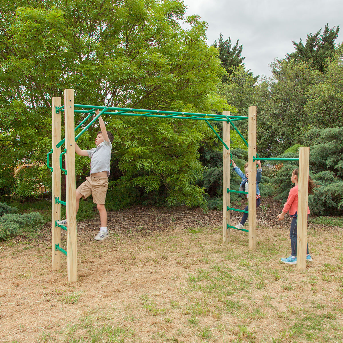 Lifespan Kids Amazon 2.5m Monkey Bar Set 3