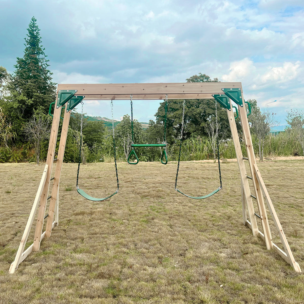 Lifespan Kids Daintree 2-in-1 Monkey Bars & Swing Set 3
