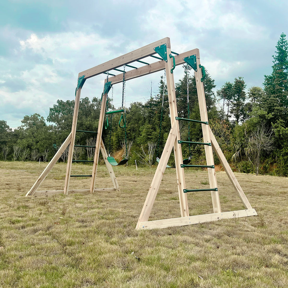 Lifespan Kids Daintree 2-in-1 Monkey Bars & Swing Set 4