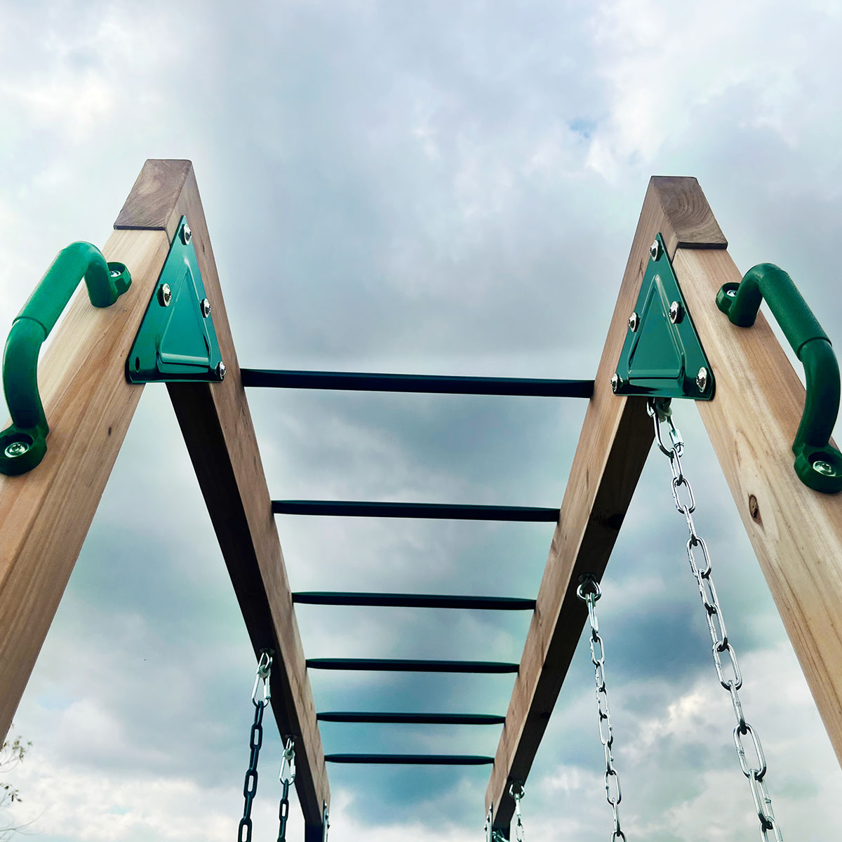 Lifespan Kids Daintree 2-in-1 Monkey Bars & Swing Set 6