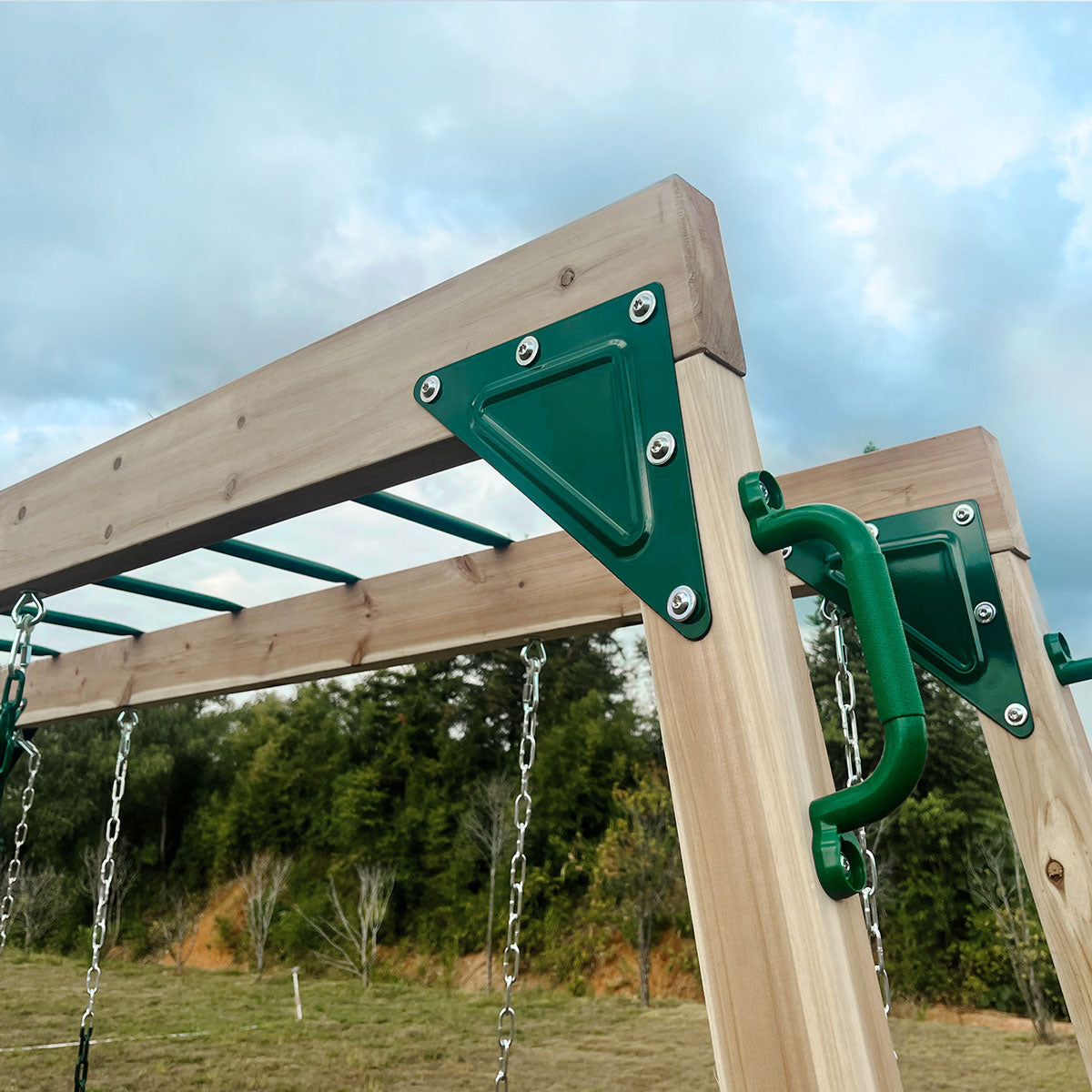 Lifespan Kids Daintree 2-in-1 Monkey Bars & Swing Set 7
