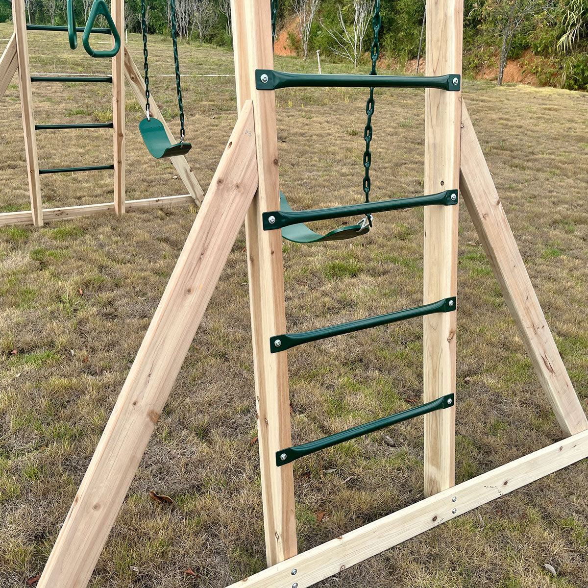 Lifespan Kids Daintree 2-in-1 Monkey Bars & Swing Set 8