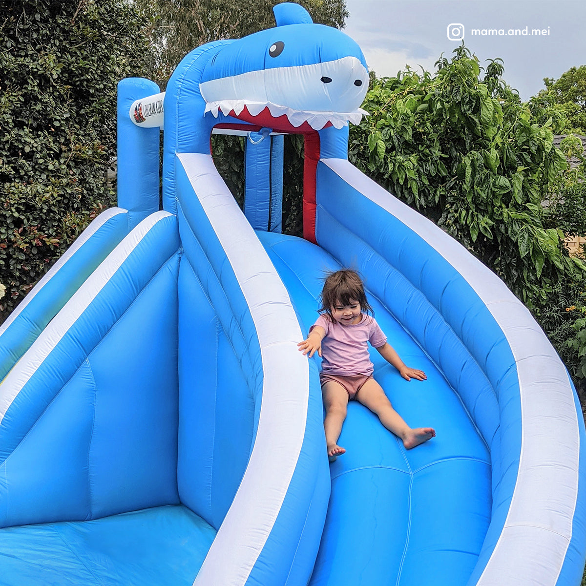 Lifespan Kids Sharky Slide & Splash Inflatable 6