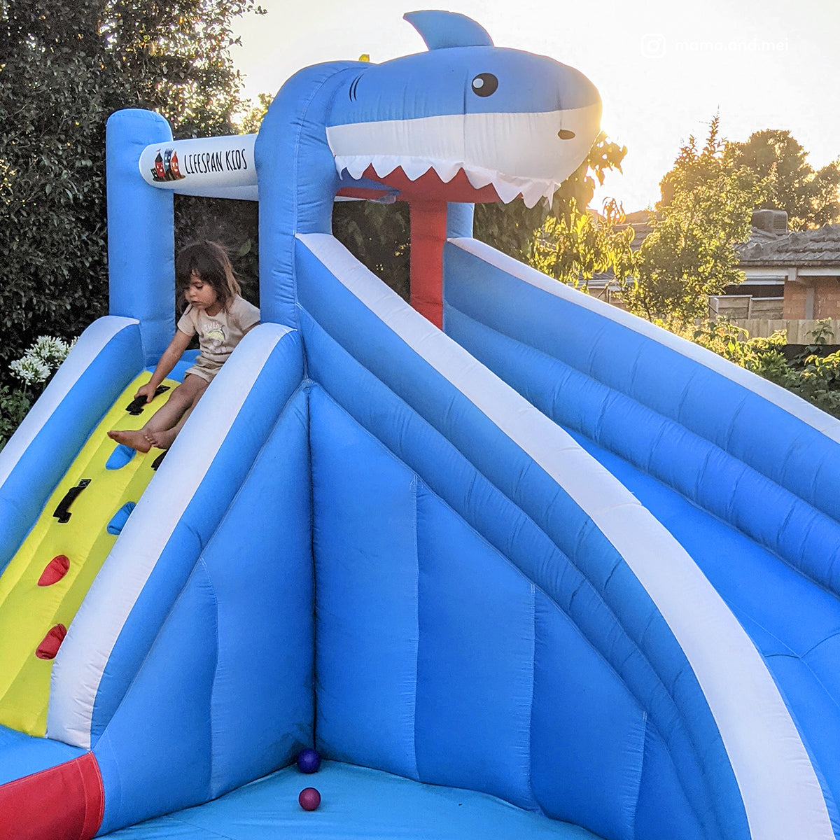 Lifespan Kids Sharky Slide & Splash Inflatable 8