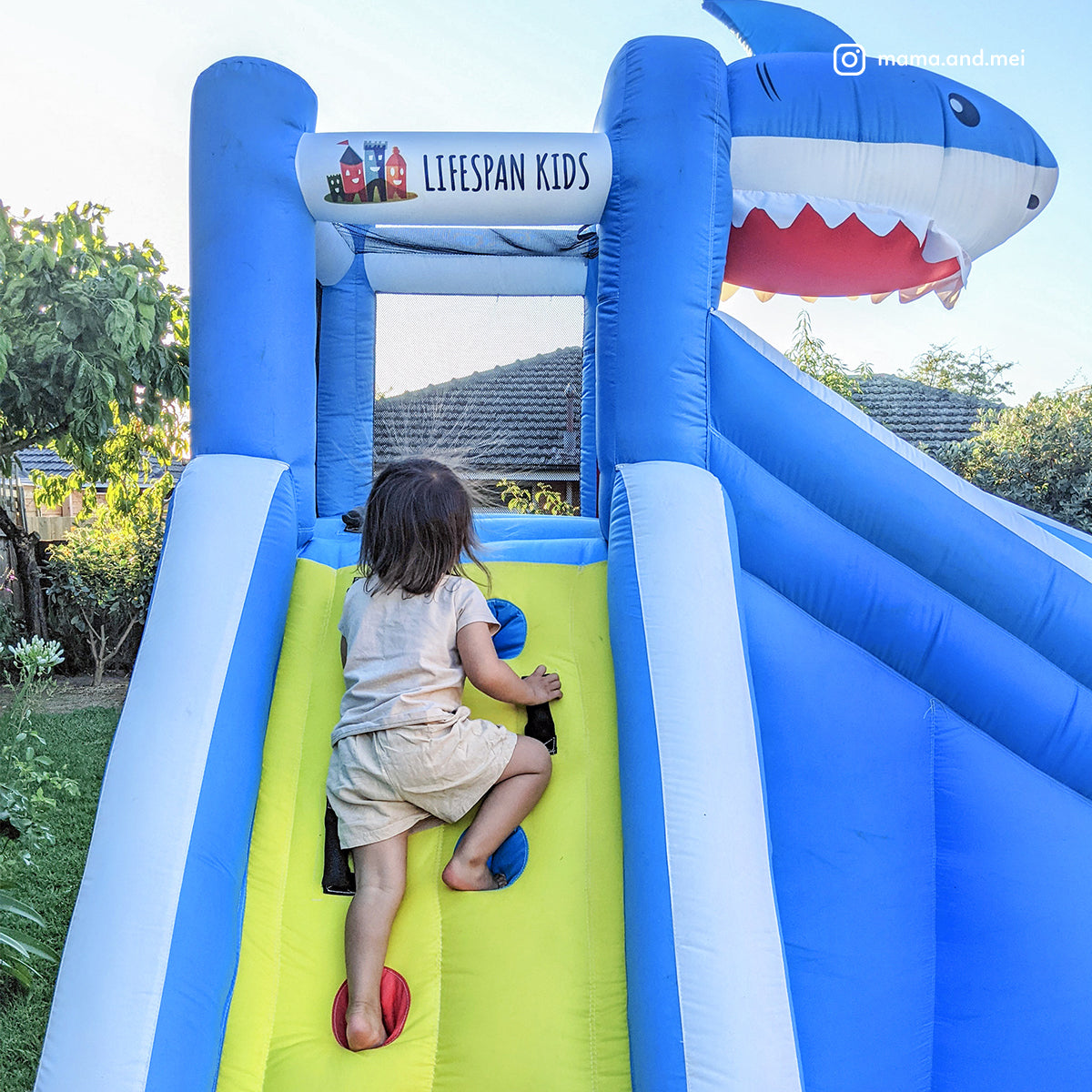 Lifespan Kids Sharky Slide & Splash Inflatable 9