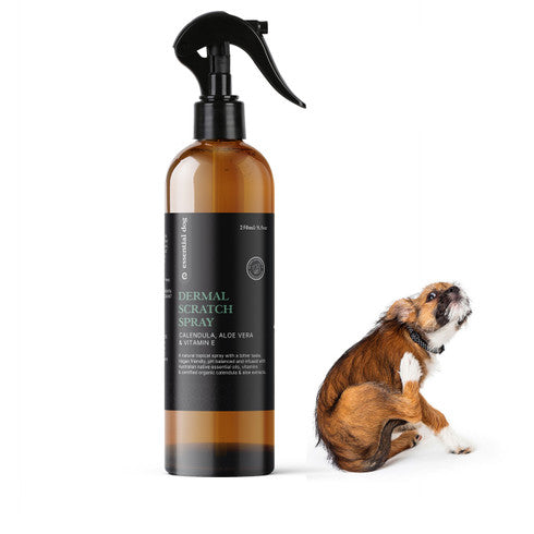 Natural Anti Itch Scratch Spray for Dogs (Aloe, Tea Tree and Vitamin E) 4
