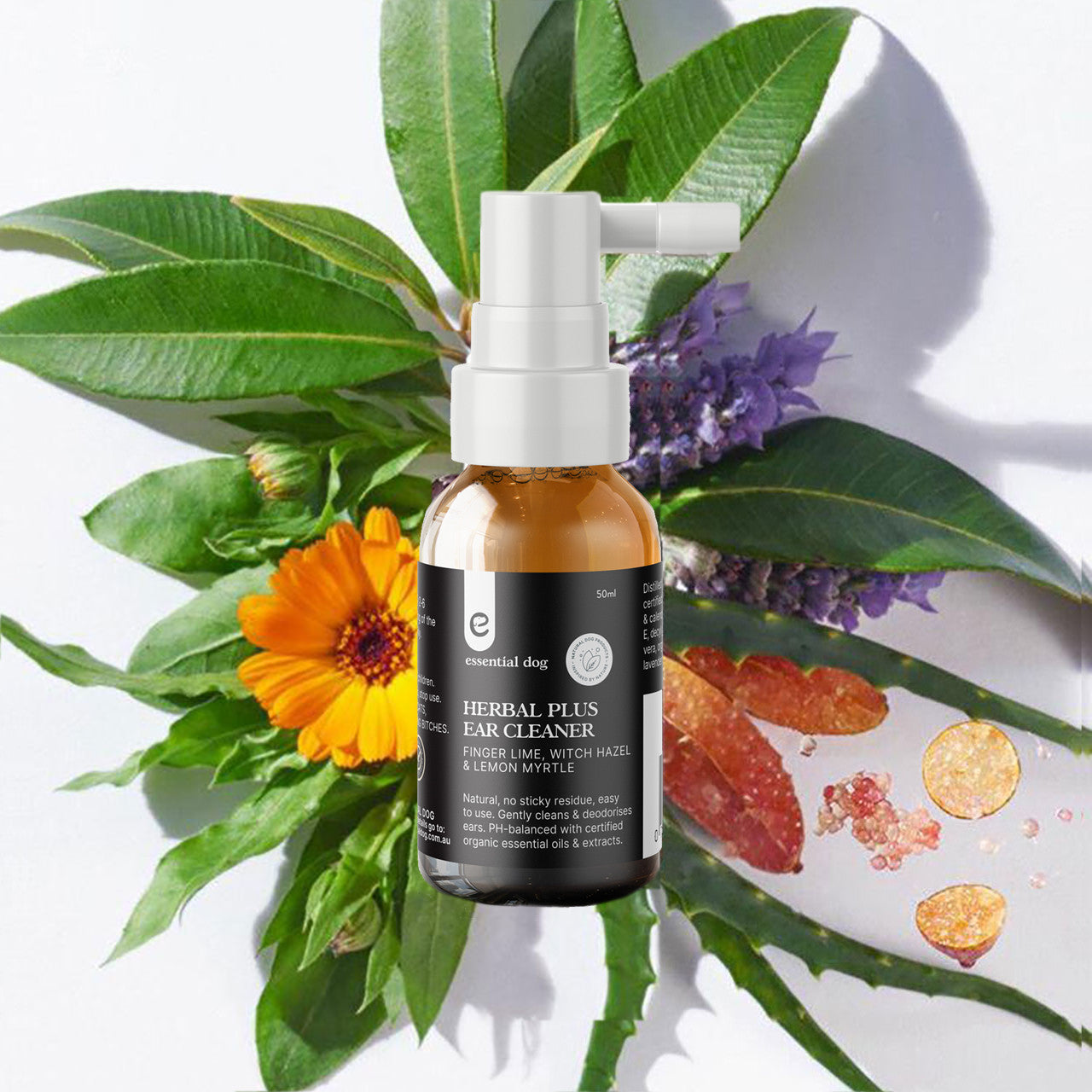 Herbal Plus Dog Ear Cleaner (Witch Hazel, Aloe & Lemon Myrtle) 4