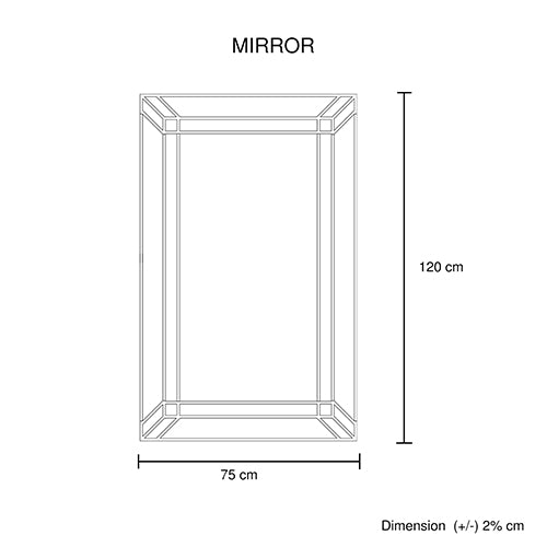 Wall Mirror MDF Construction Rectangular Shape Silver Colour 6