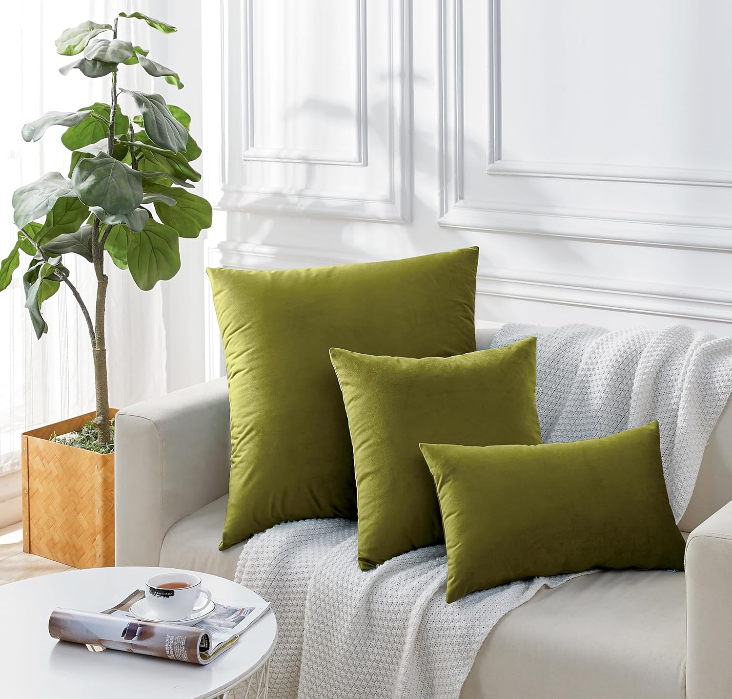 Twin-Pack Velvet Cushion Covers - Soft Microfibre Cushion Covers with Hidden Zipper (Green, 45cm*45cm) 4