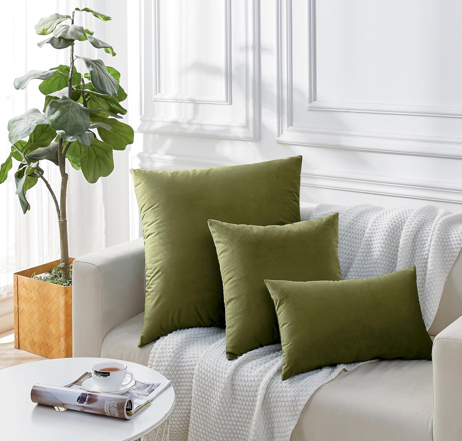 Twin-Pack Velvet Cushion Covers - Soft Microfibre Cushion Covers with Hidden Zipper (Olive Green, 65cm*65cm) 4