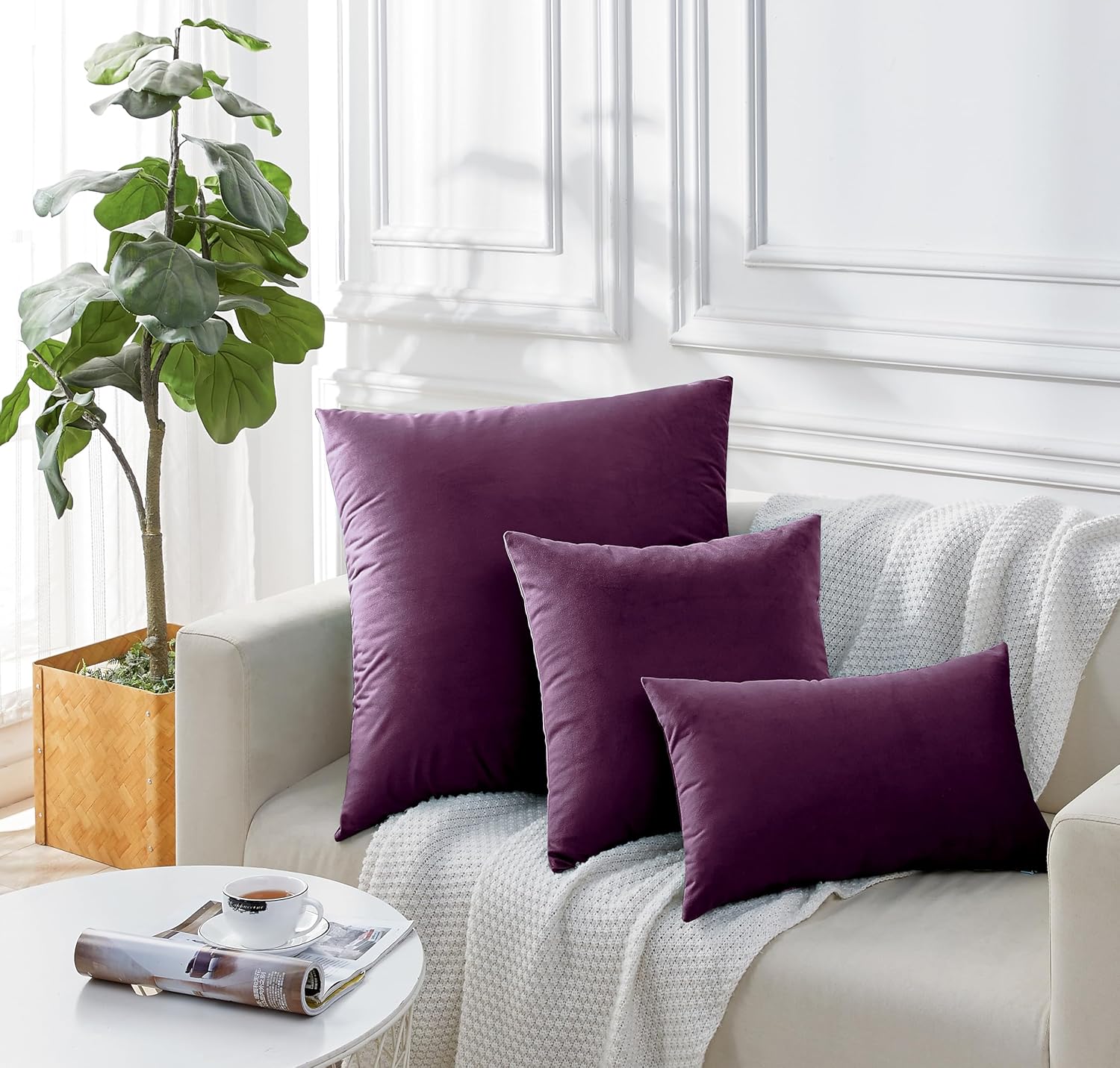 Twin-Pack Velvet Cushion Covers - Soft Microfibre Cushion Covers with Hidden Zipper (Plum, 45cm*45cm) 4