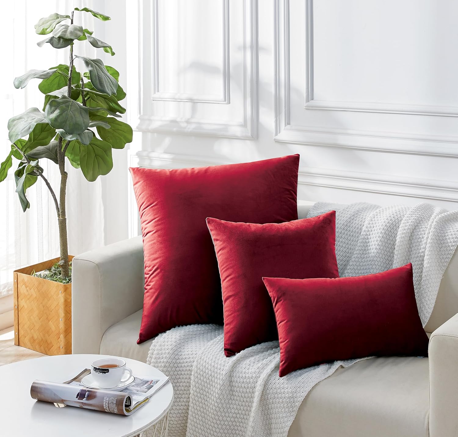 Twin-Pack Velvet Cushion Covers - Soft Microfibre Cushion Covers with Hidden Zipper (Red, 45cm*45cm) 4