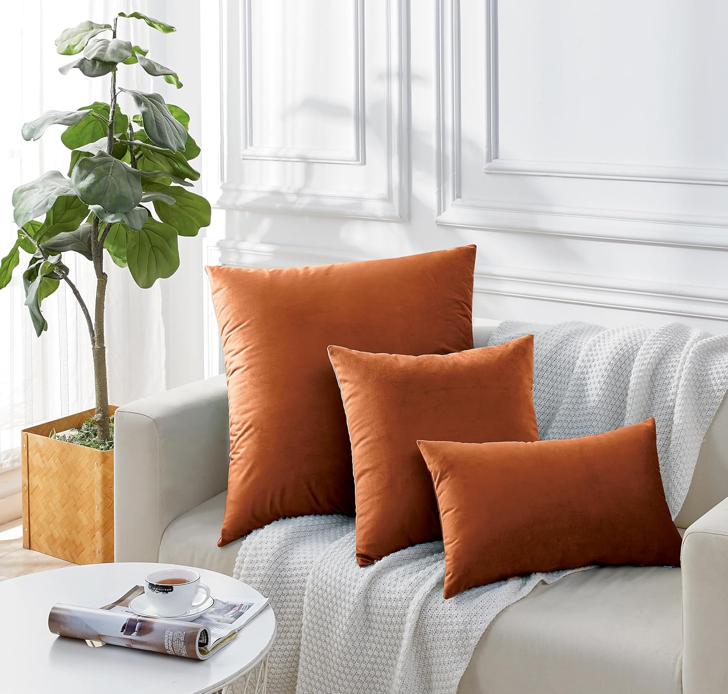 Twin-Pack Velvet Cushion Covers - Soft Microfibre Cushion Covers with Hidden Zipper (Terracotta, 45cm*45cm) 4