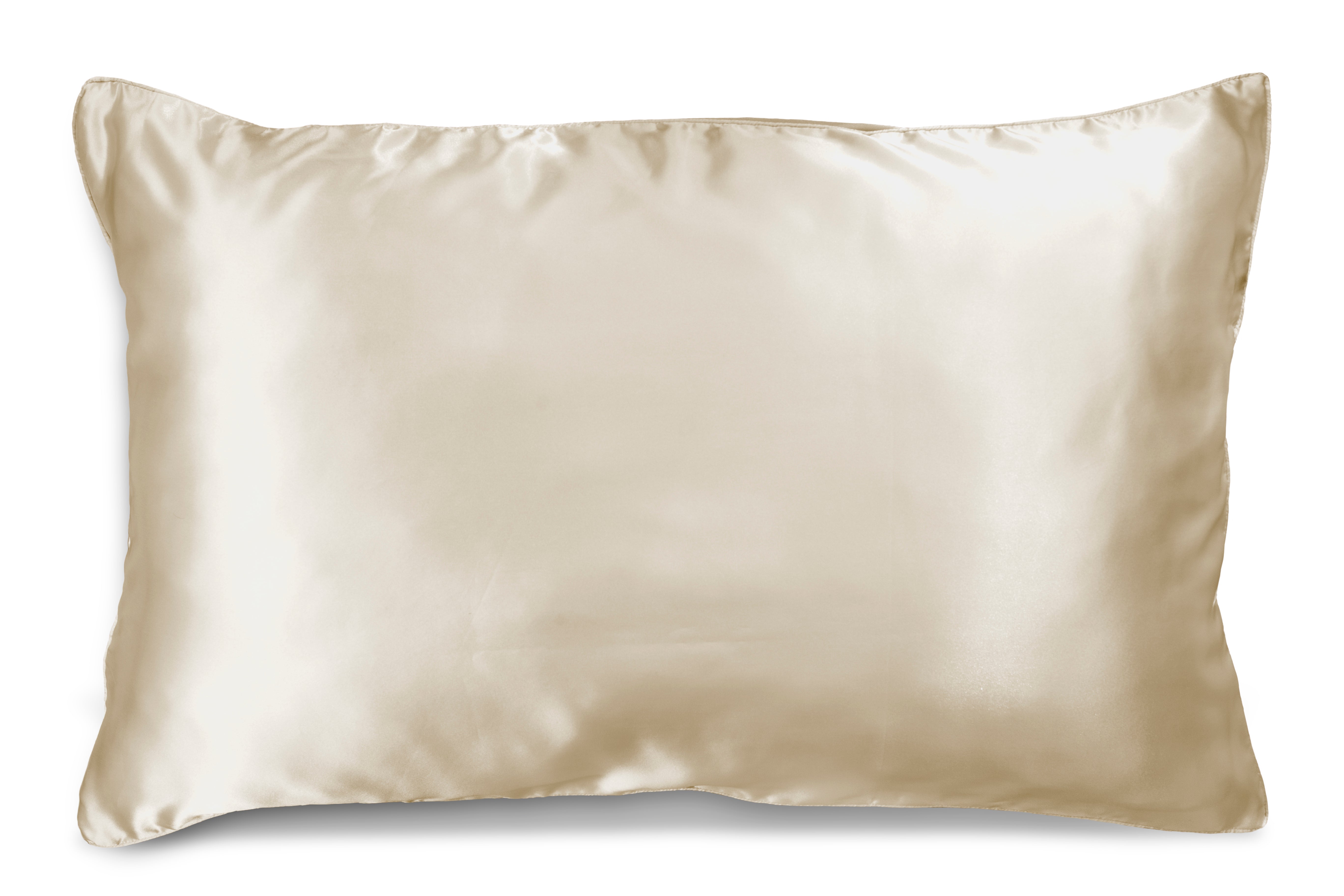 Ivory Dreams SILK PILLOWCASE - 51X76CM 3